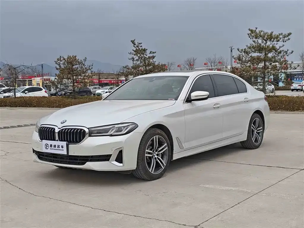 BMW 5 Series 2021 из CN, фото 1