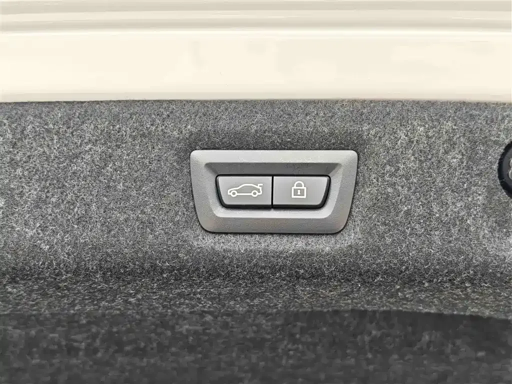 BMW 5 Series 2021 из CN, фото 9