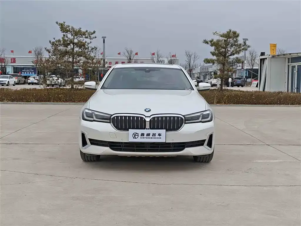 BMW 5 Series 2021 из CN, фото 5