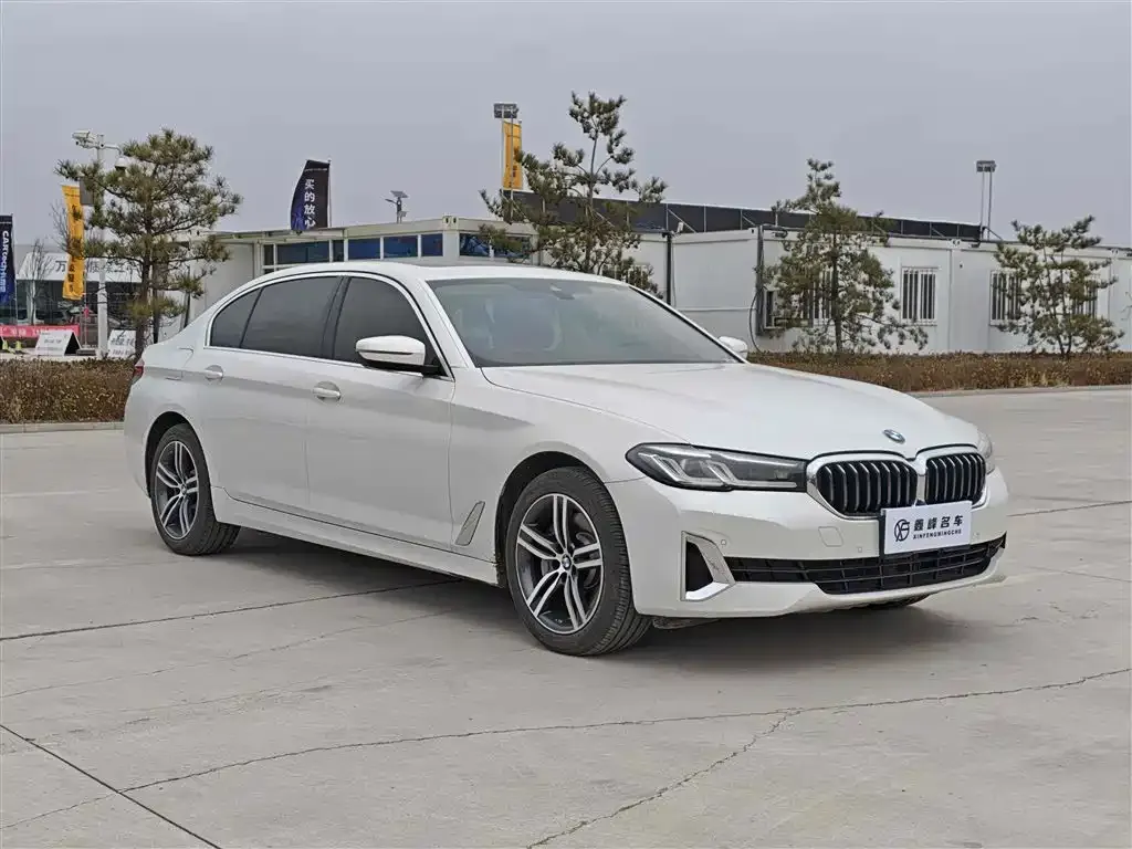BMW 5 Series 2021 из CN, фото 10