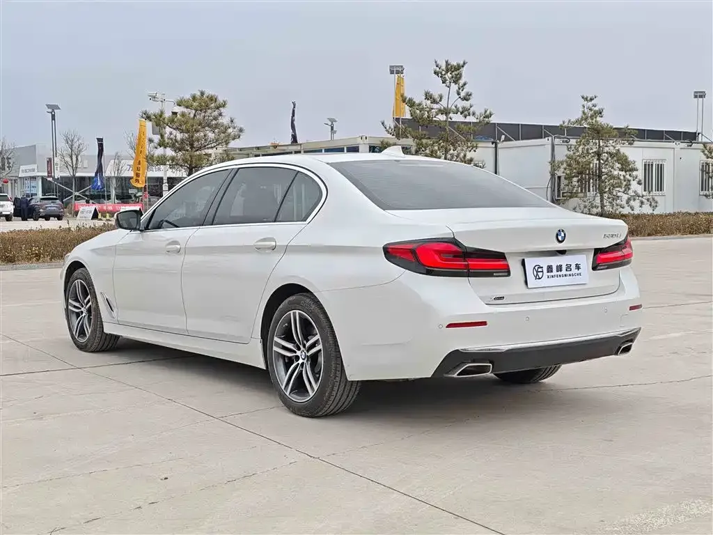 BMW 5 Series 2021 из CN, фото 7