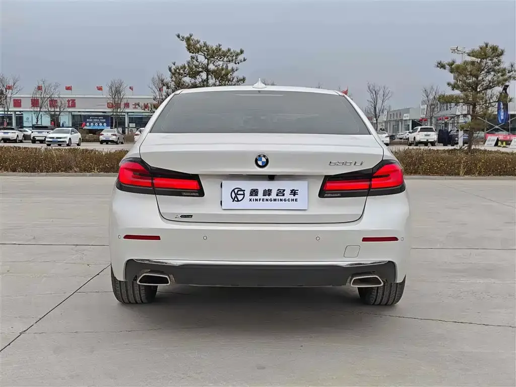 BMW 5 Series 2021 из CN, фото 8