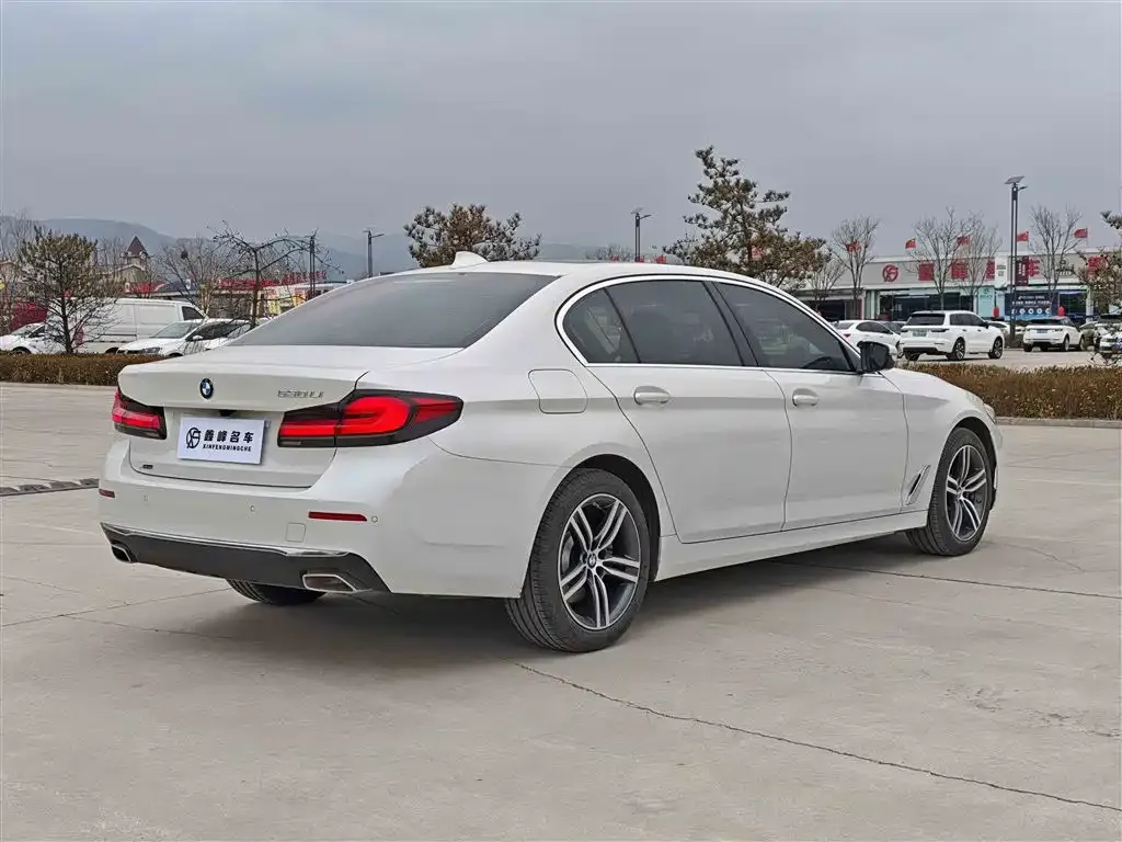 BMW 5 Series 2021 из CN, фото 3