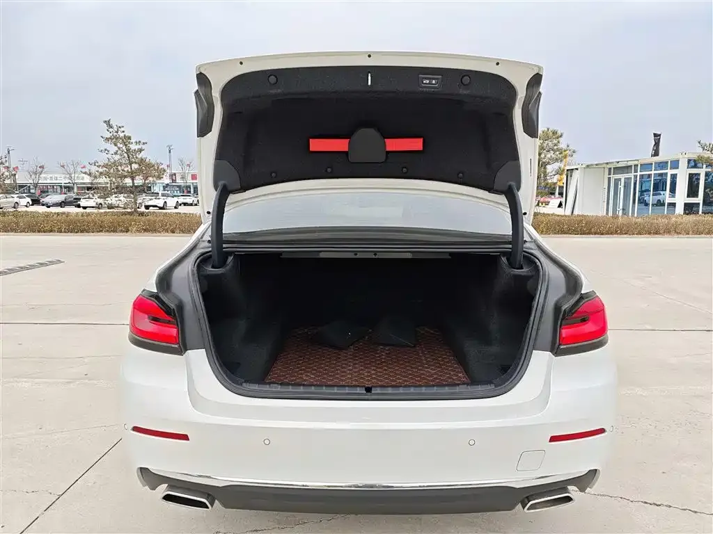 BMW 5 Series 2021 из CN, фото 4