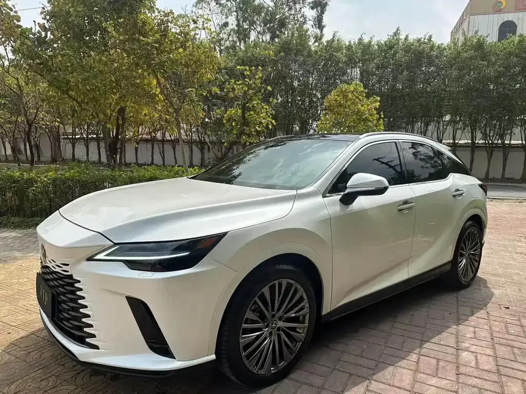 Lexus RX 2023 из CN, фото 1