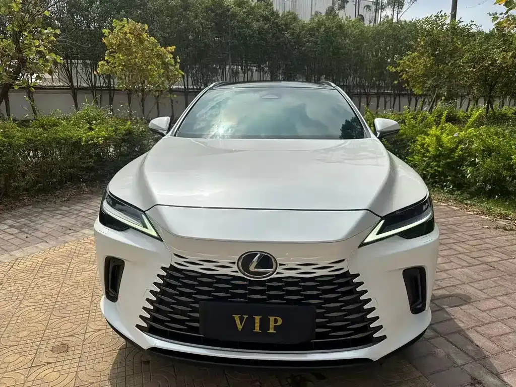 Lexus RX 2023 из CN, фото 7