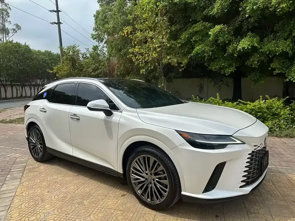 Lexus RX 2023 из CN, фото 9