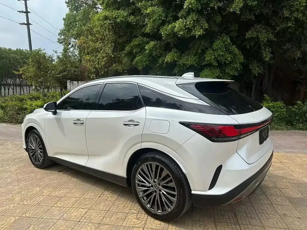 Lexus RX 2023 из CN, фото 3