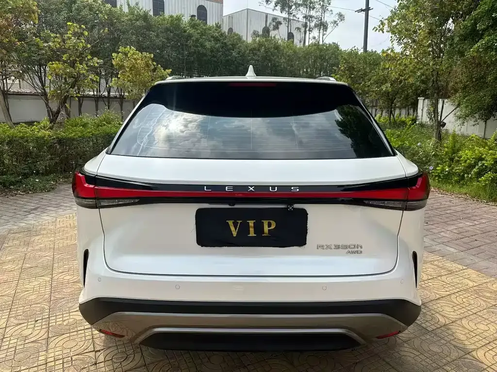 Lexus RX 2023 из CN, фото 5