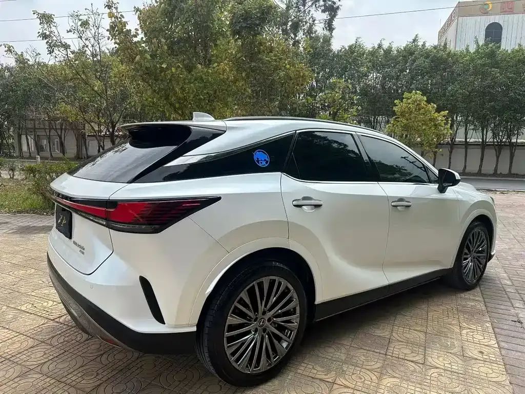 Lexus RX 2023 из CN, фото 8