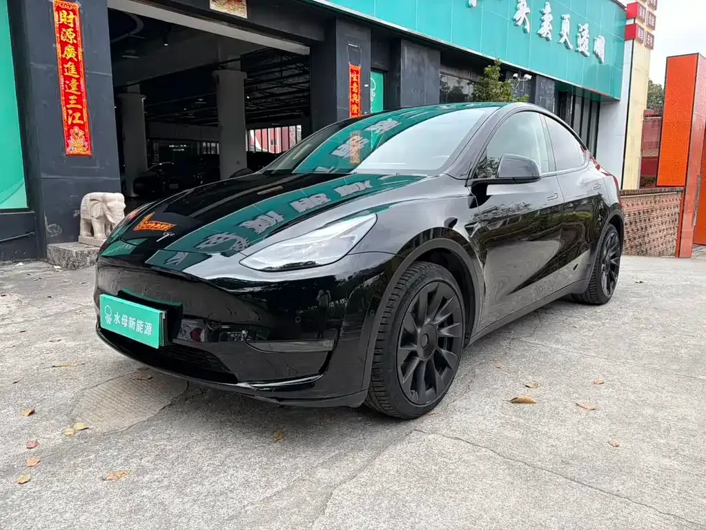 Tesla Model Y — фото 1