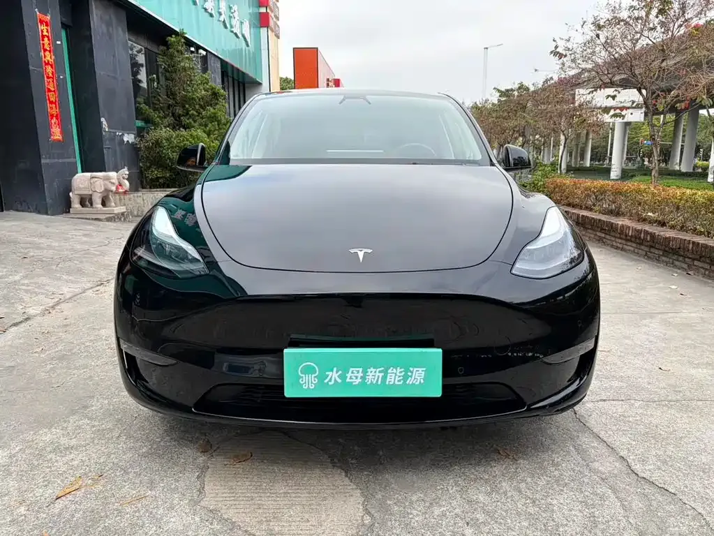 Tesla Model Y — фото 4