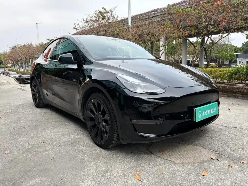 Tesla Model Y — фото 8
