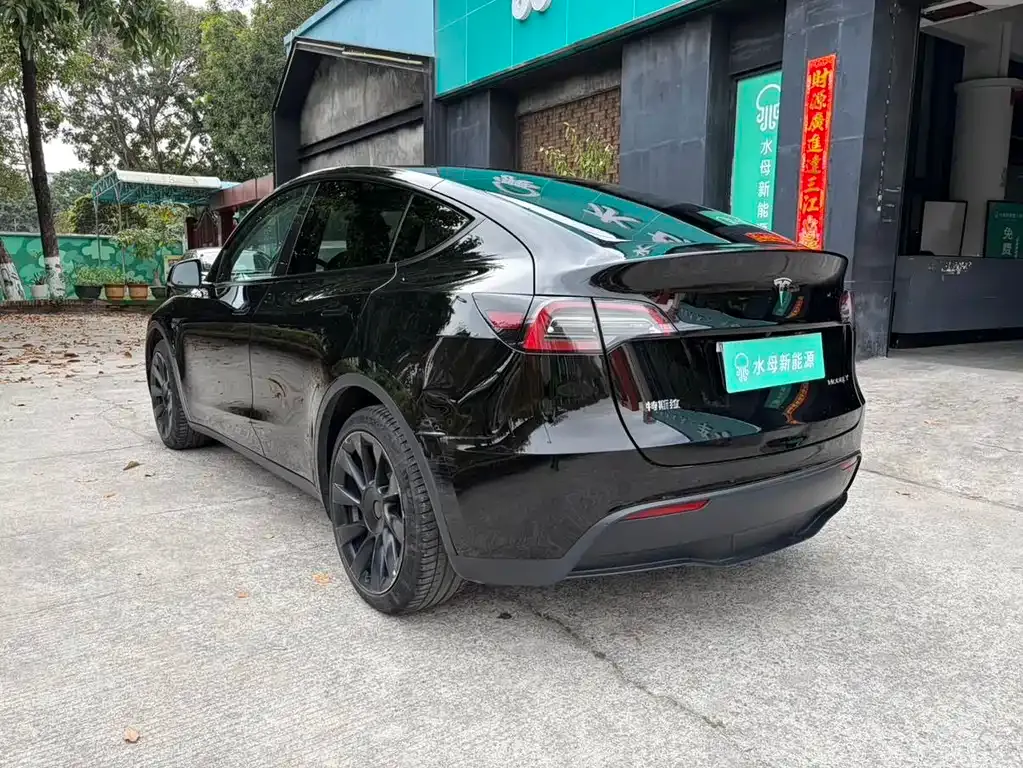 Tesla Model Y — фото 10
