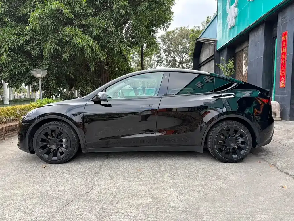 Tesla Model Y — фото 6