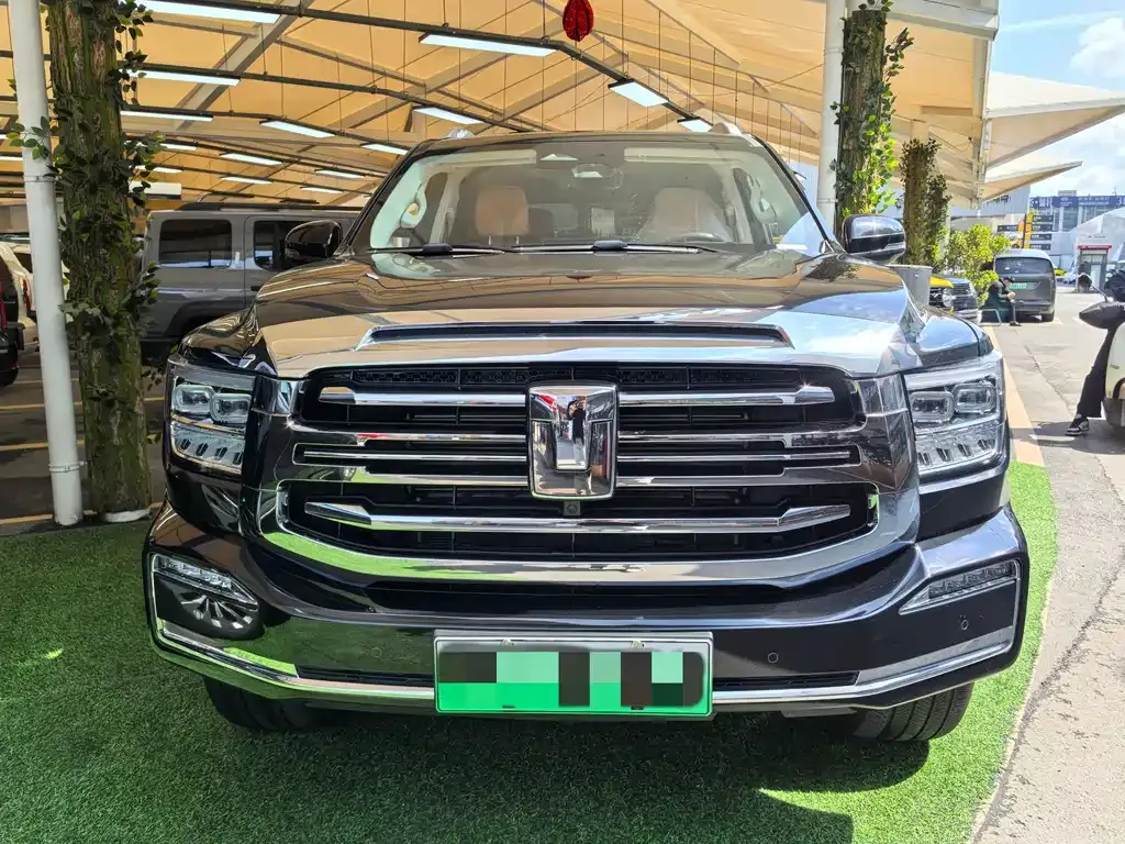 Tank 500 New Energy 2023 из CN, фото 4