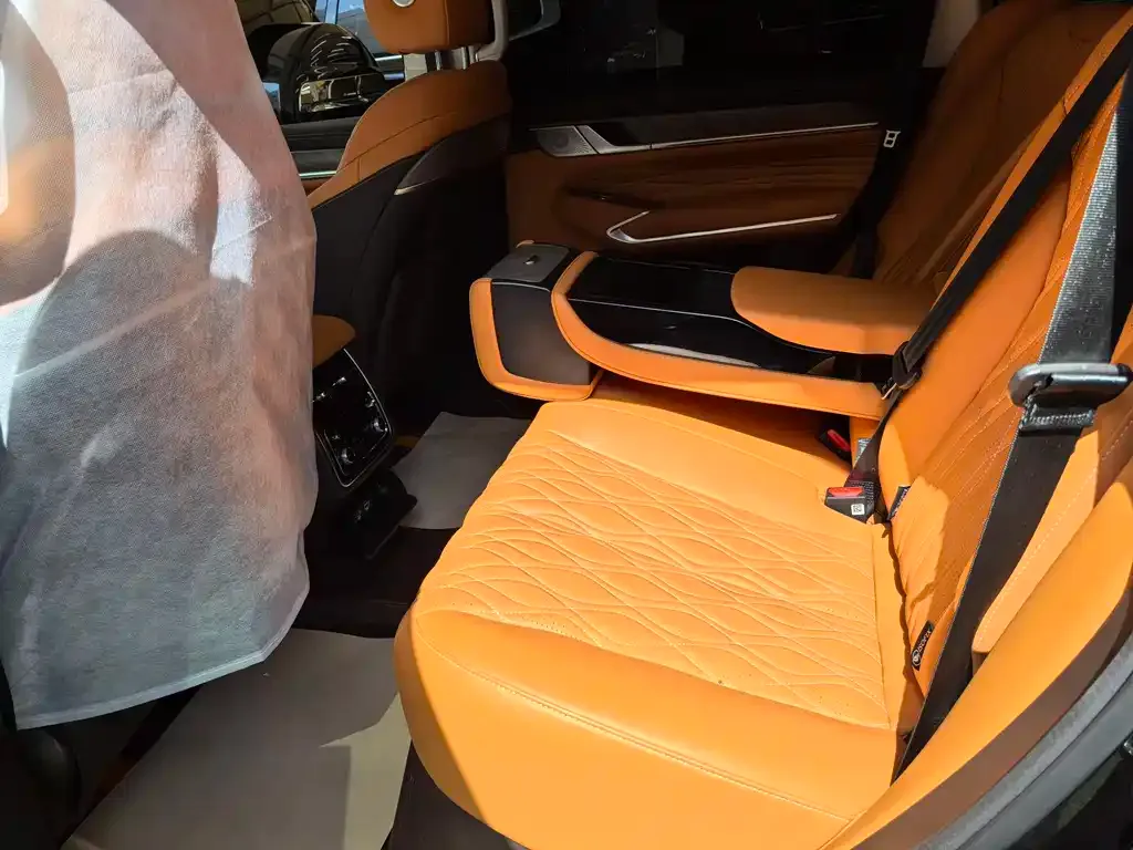 Tank 500 New Energy 2023 из CN, фото 7