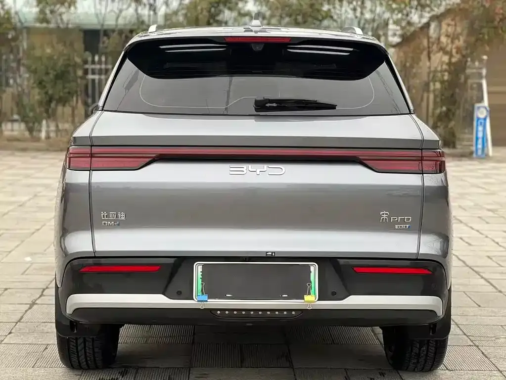 BYD Pro New Energy 2025 из CN, фото 6