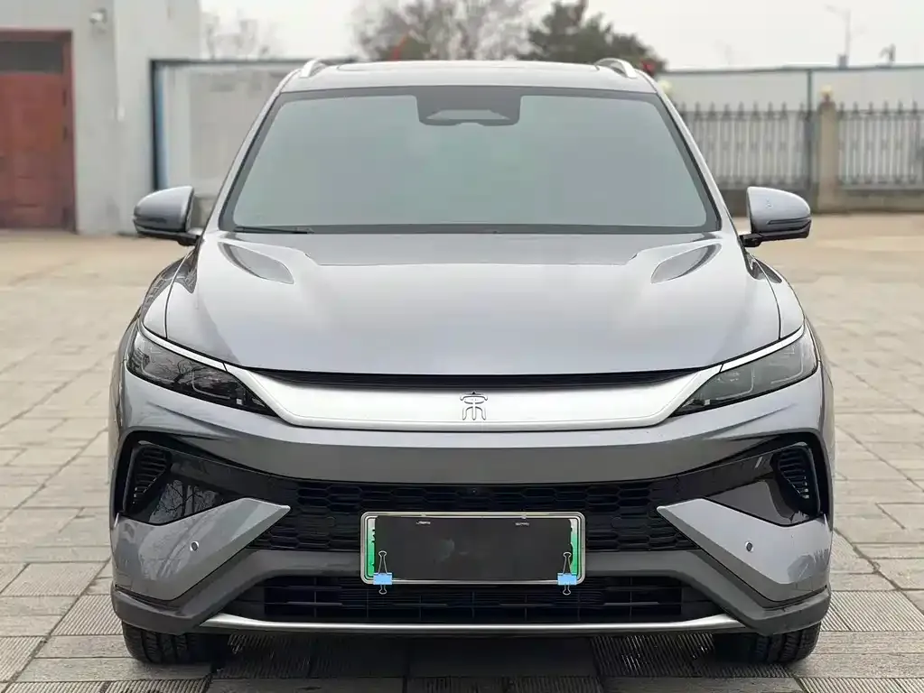 BYD Pro New Energy 2025 из CN, фото 4