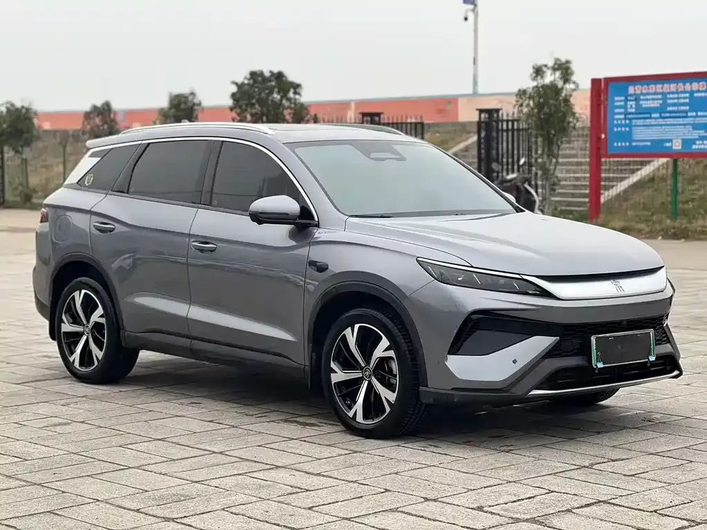 BYD Pro New Energy 2025 из CN, фото 7