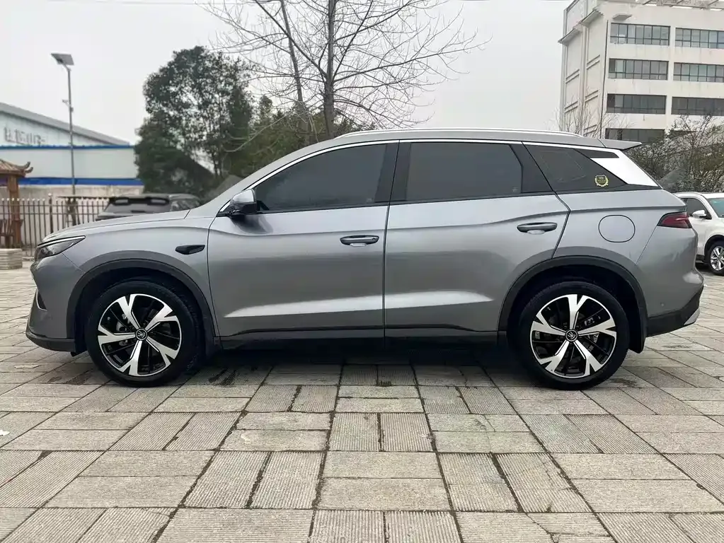 BYD Pro New Energy 2025 из CN, фото 5