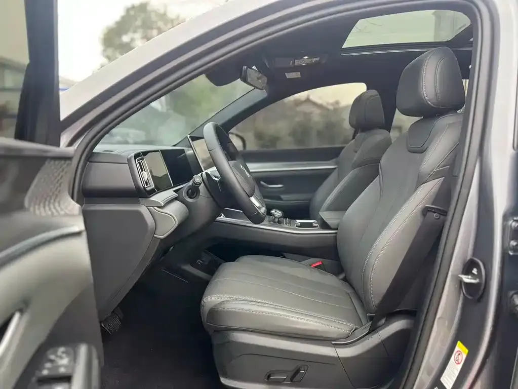 BYD Pro New Energy 2025 из CN, фото 3