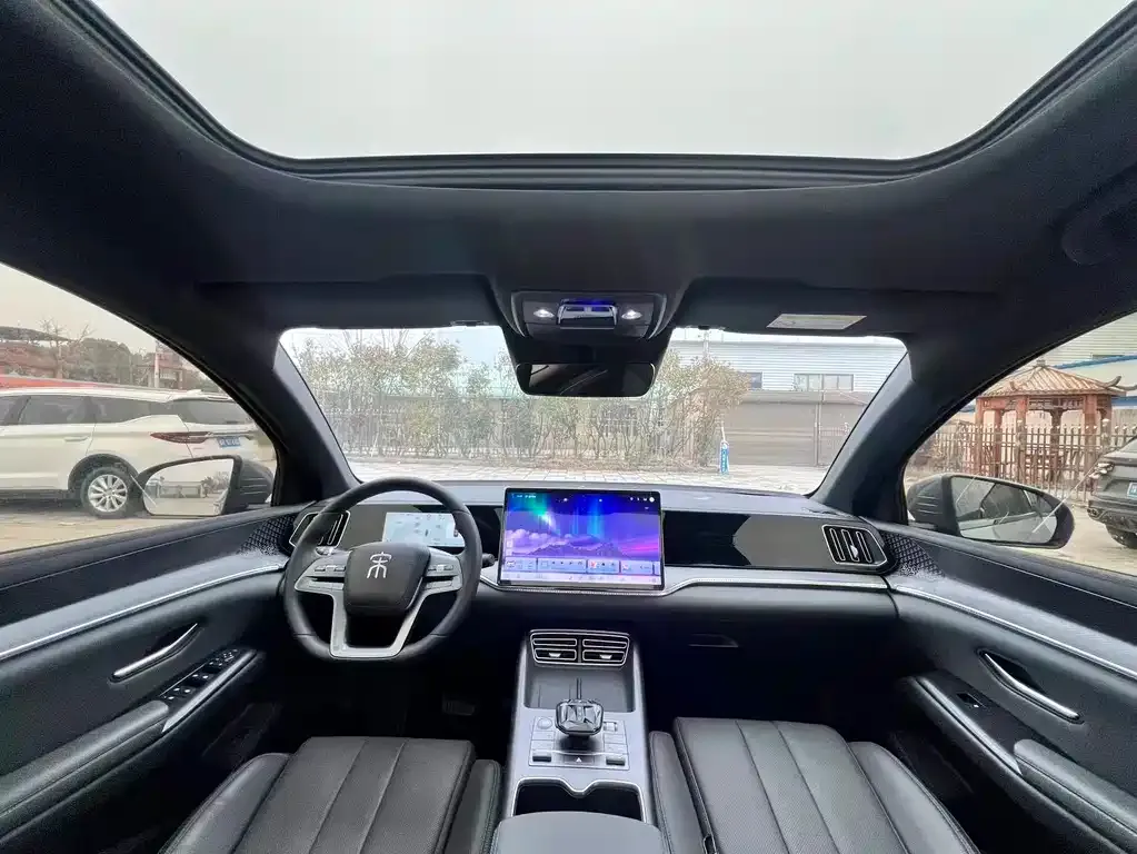BYD Pro New Energy 2025 из CN, фото 8