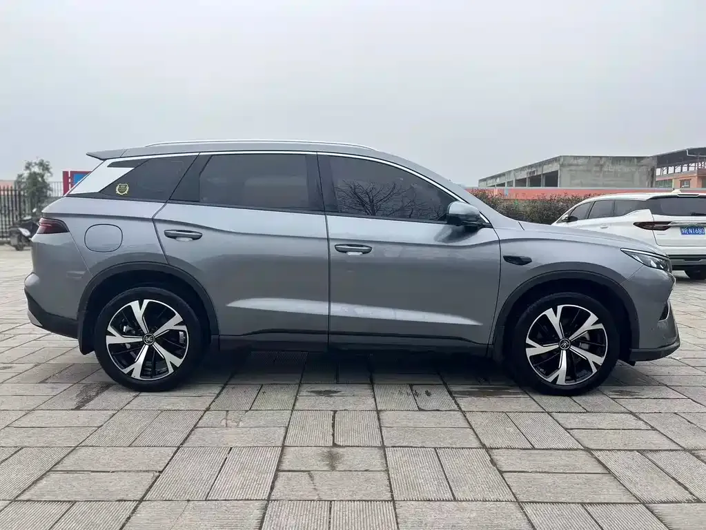 BYD Pro New Energy 2025 из CN, фото 10