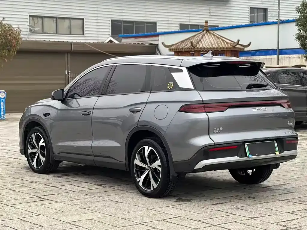 BYD Pro New Energy 2025 из CN, фото 9