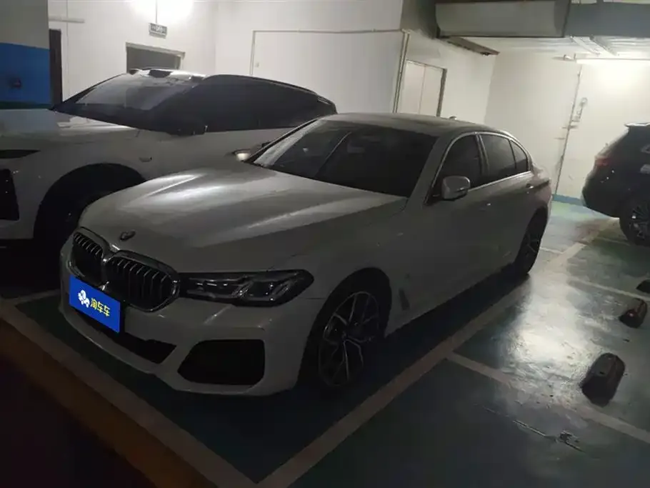 BMW 5 Series 2021 из CN, фото 1