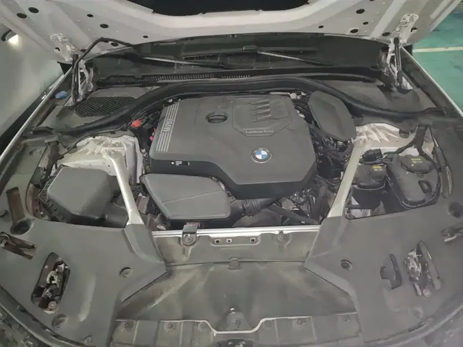 BMW 5 Series 2021 из CN, фото 8