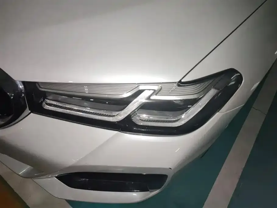 BMW 5 Series 2021 из CN, фото 5