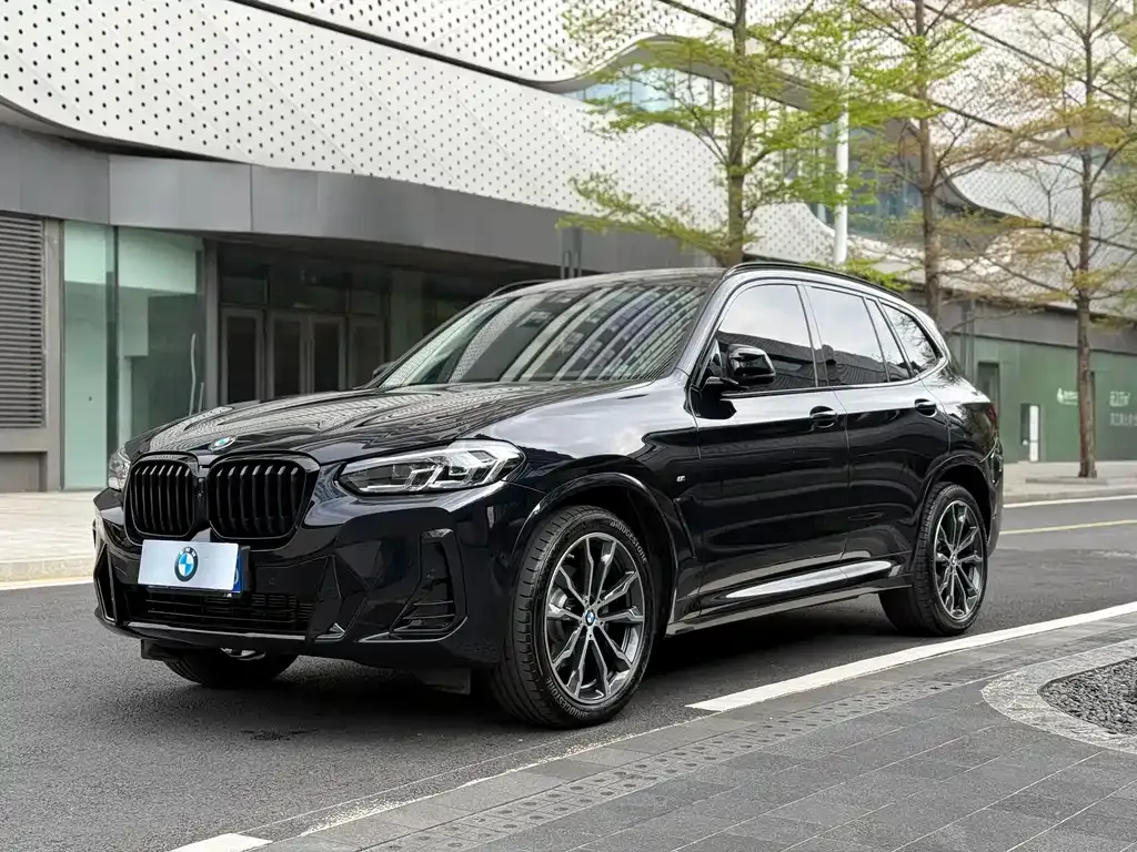 BMW X3 — фото 1