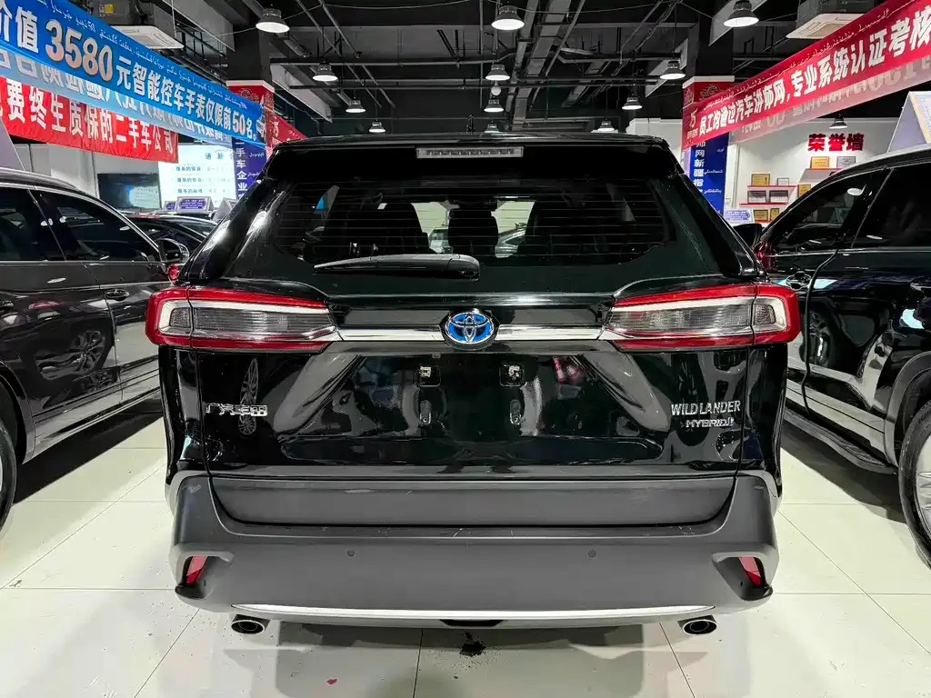 Toyota Wildlander 2021 из CN, фото 5