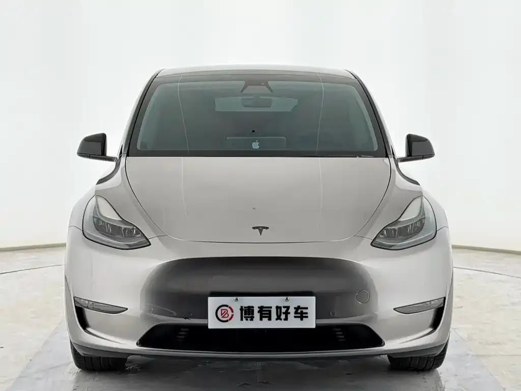 Tesla Model Y — фото 2
