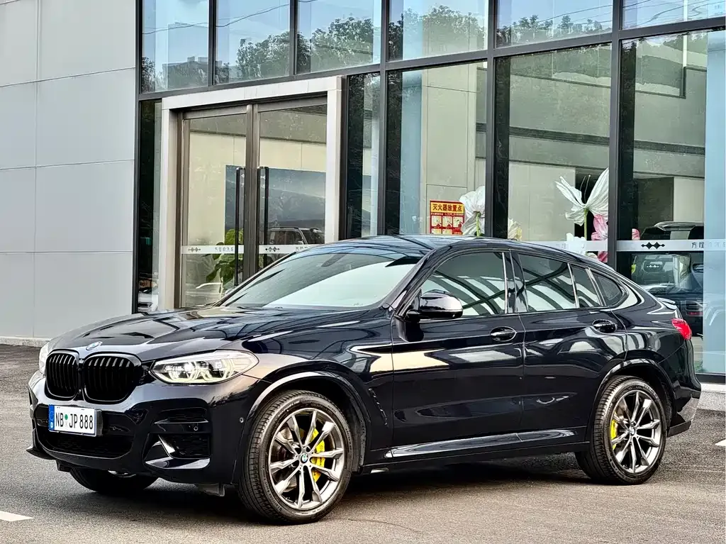 BMW X4 2021 из CN, фото 5