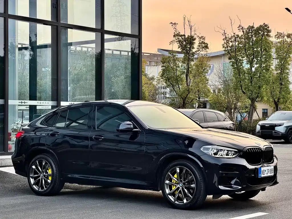 BMW X4 2021 из CN, фото 10