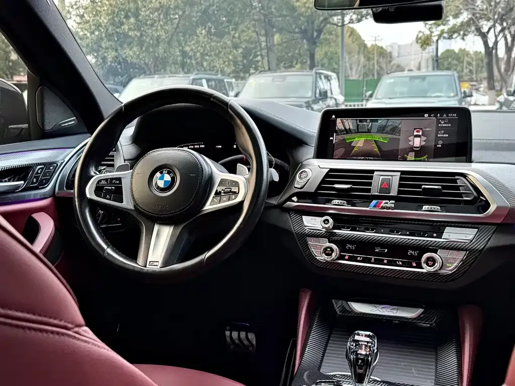BMW X4 2021 из CN, фото 8