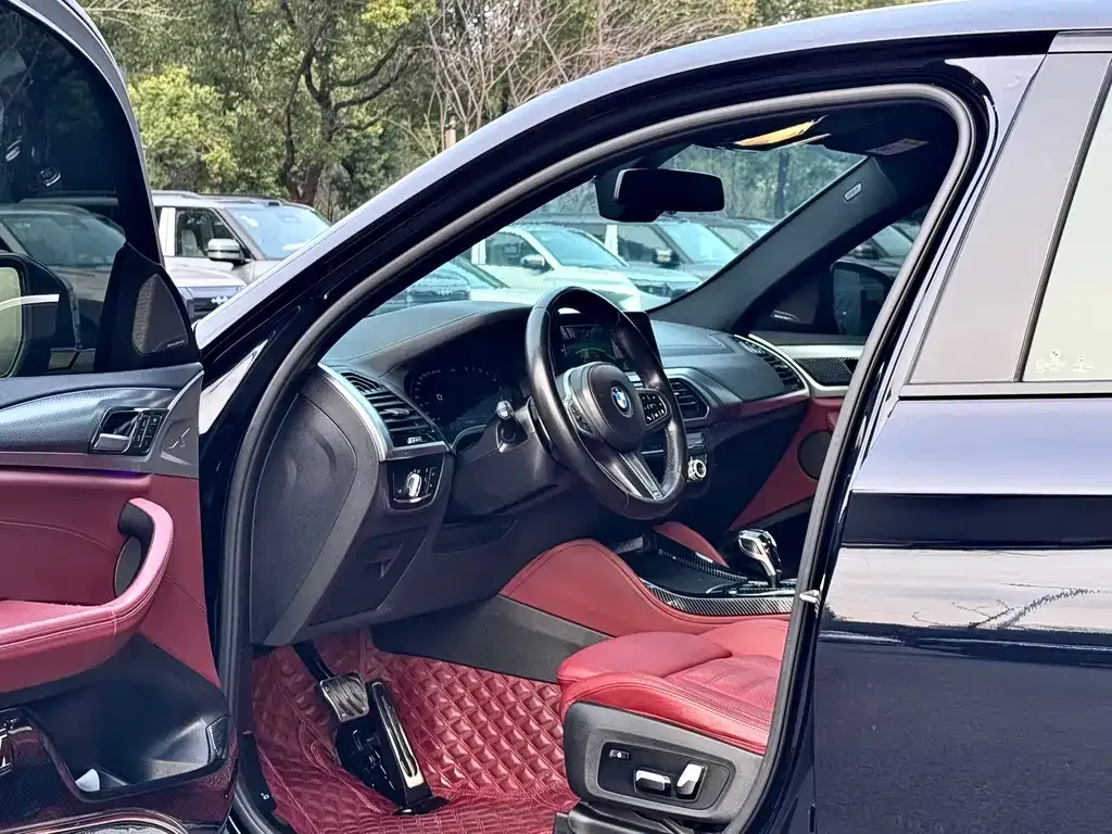 BMW X4 2021 из CN, фото 4