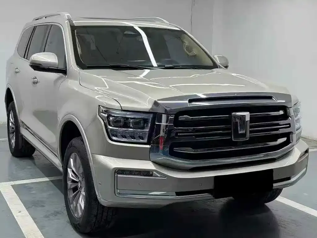 Tank 500 New Energy 2024 из CN, фото 2