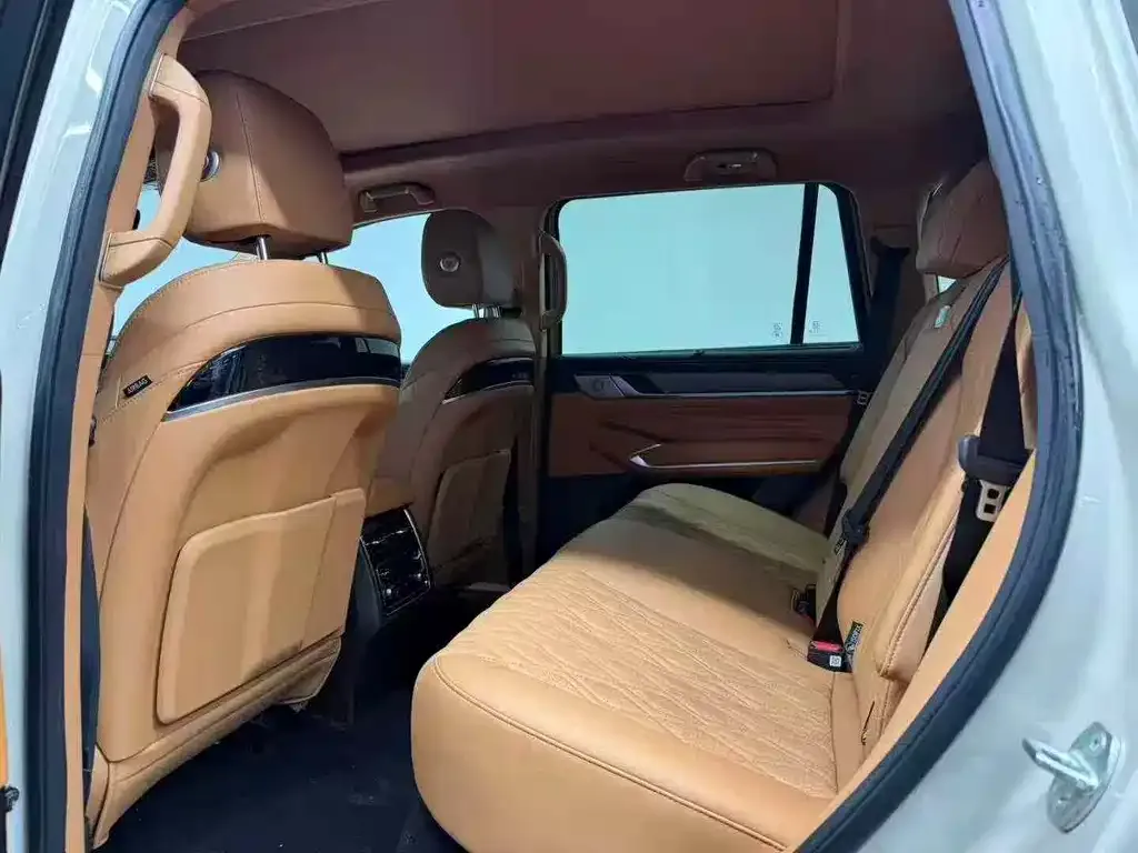 Tank 500 New Energy 2024 из CN, фото 6