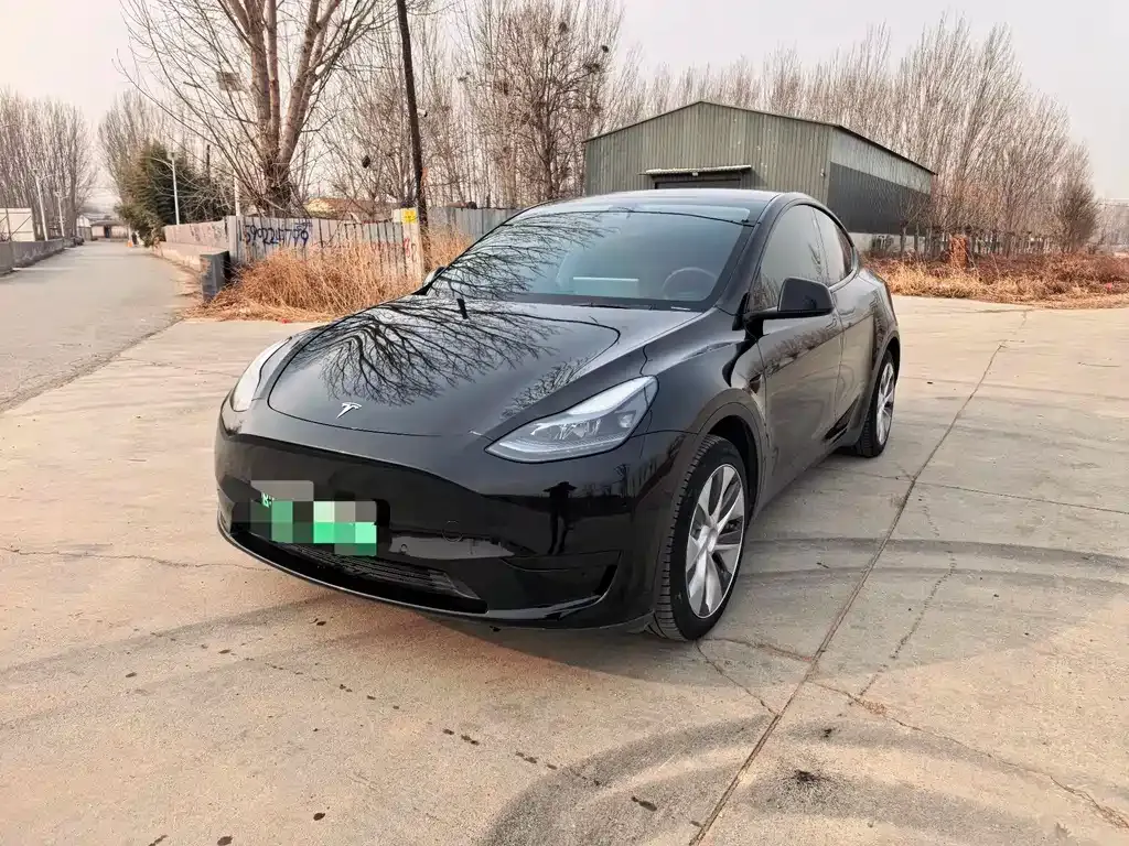Tesla Model Y — фото 1