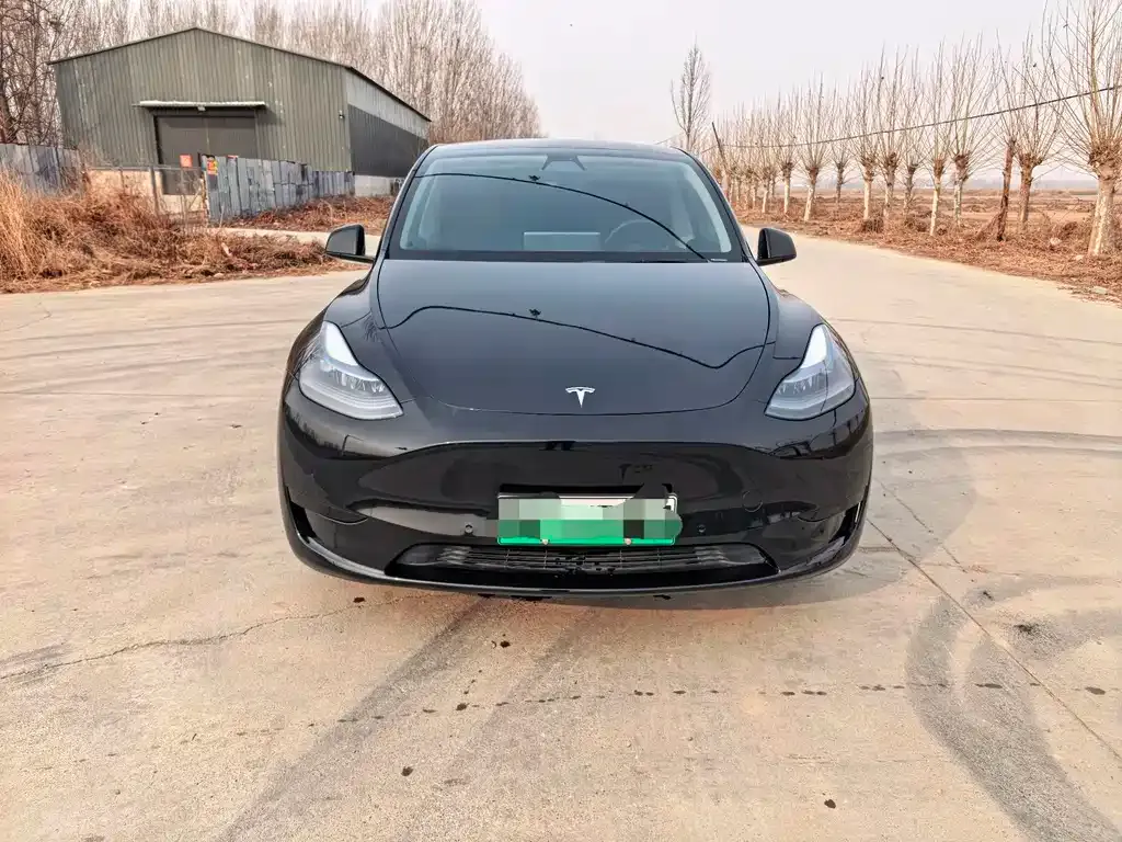 Tesla Model Y — фото 8