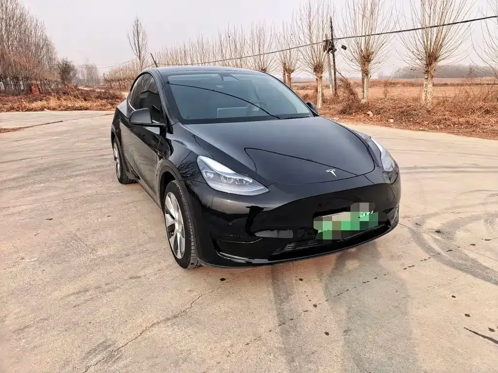 Tesla Model Y — фото 6