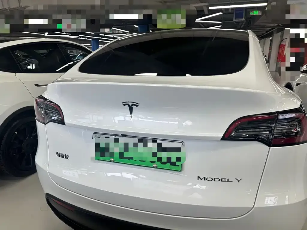 Tesla Model Y — фото 8