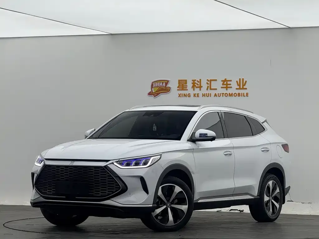 BYD PLUS New Energy — фото 1