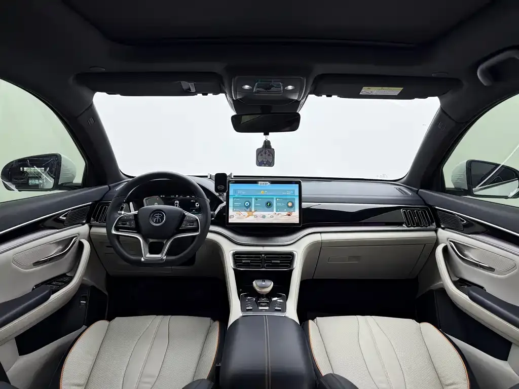 BYD PLUS New Energy — фото 8