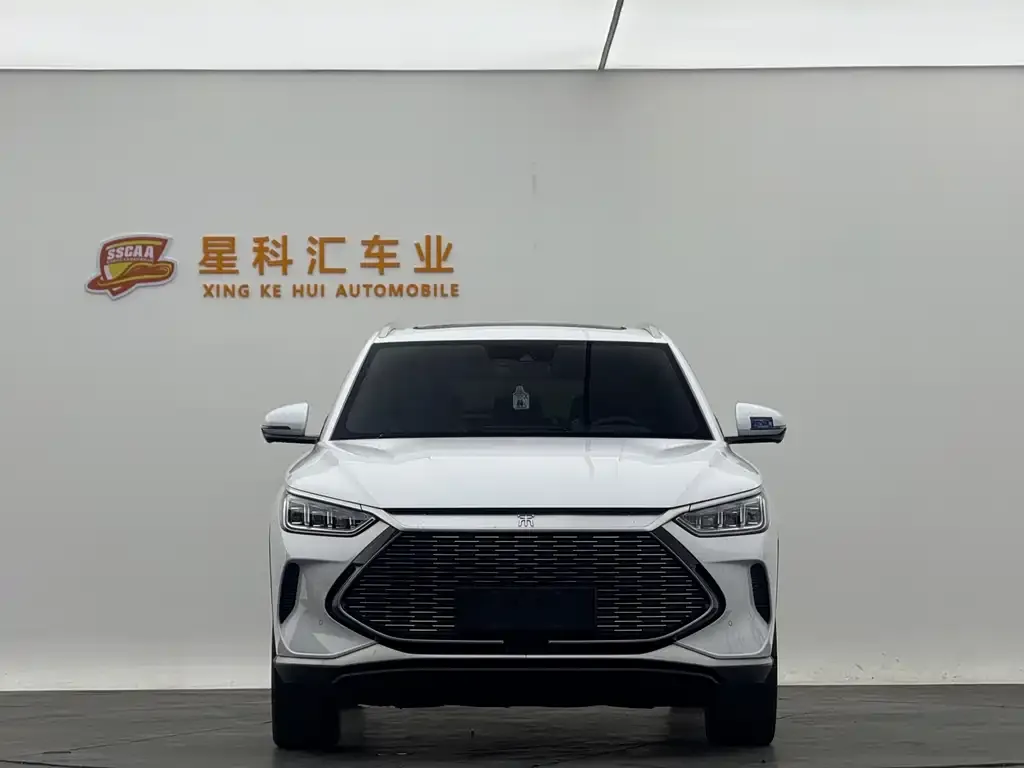 BYD PLUS New Energy — фото 4