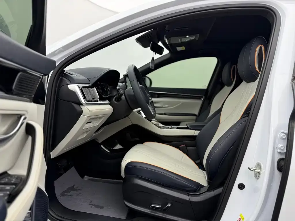 BYD PLUS New Energy — фото 10