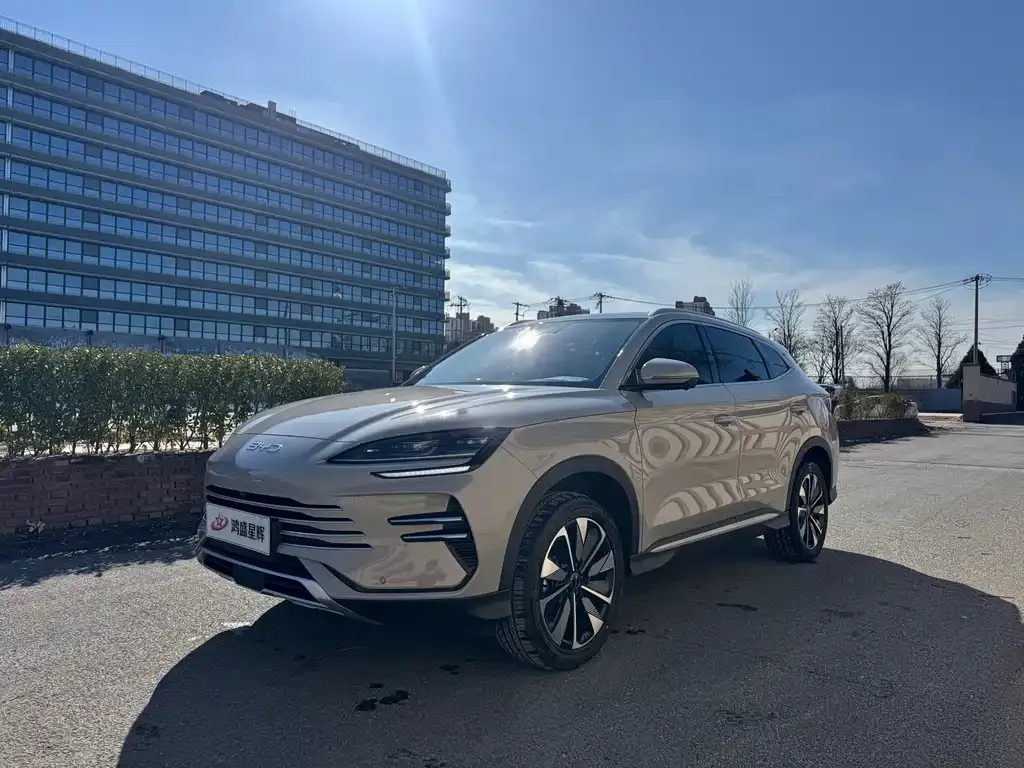 BYD PLUS New Energy — фото 1